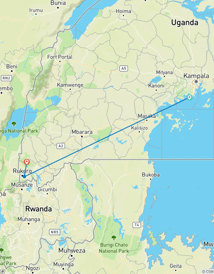 Ultimate Gorilla Trekking Ouganda circuit
