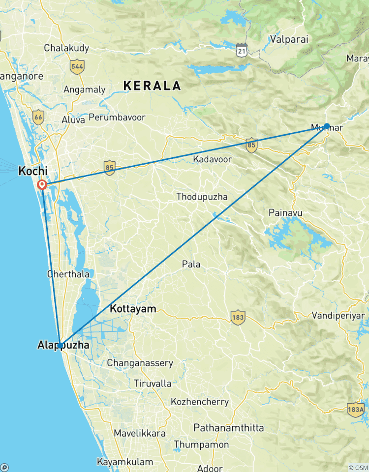 From Cochin: Munnar and Alleppey 4-Day Tour with Houseboat Tour
