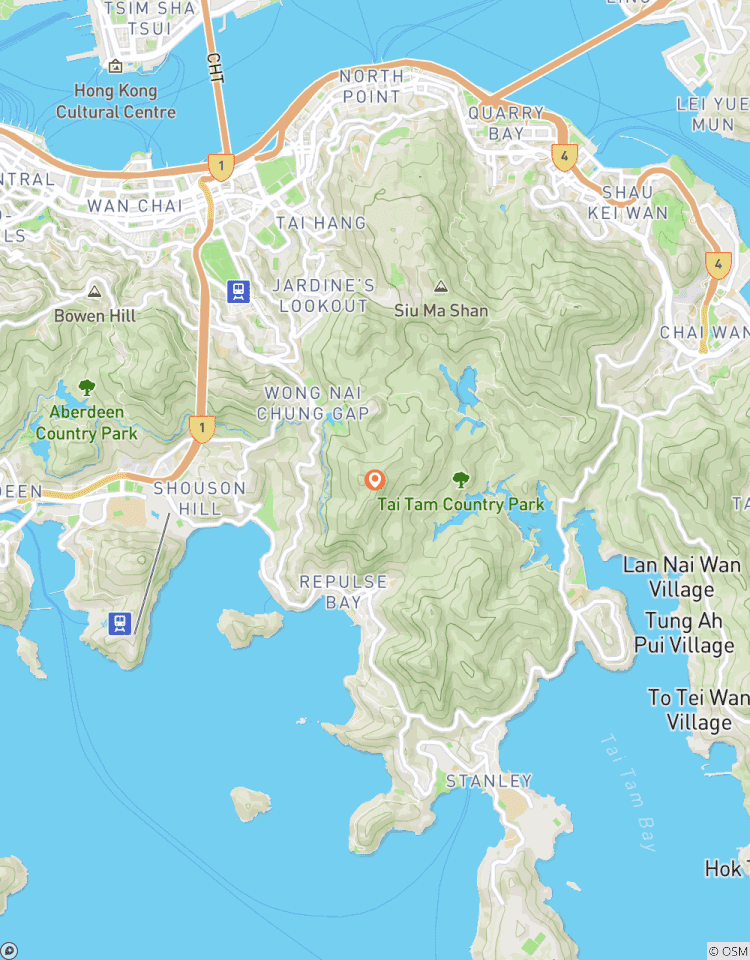 Circuito Viaje urbano a Hong Kong, visita privada