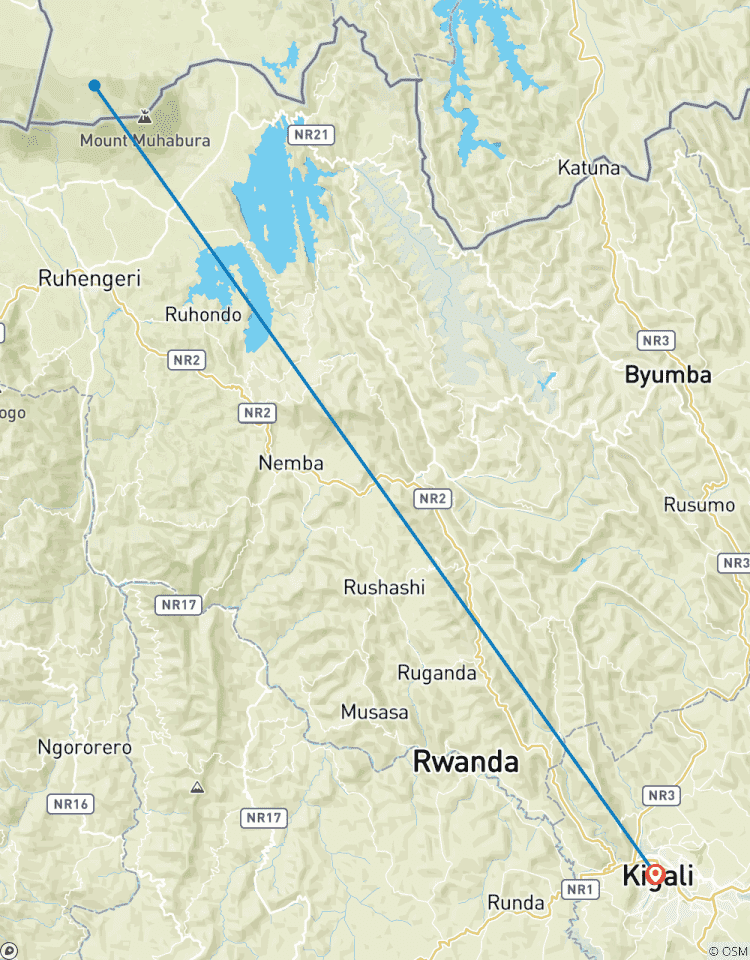3 Day Gorilla Tracking Mgahinga Gorilla NP Thru Rwanda Tour