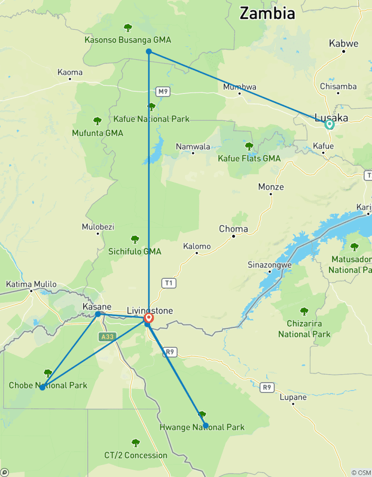 Circuito Expedición de 11 días al Gran Safari: Llanuras de Busanga, Kafue, Mosi-oa-Tunya (Zambia), Chobe (Botsuana) y Parques Nacionales de Hwange (Zimbabue).