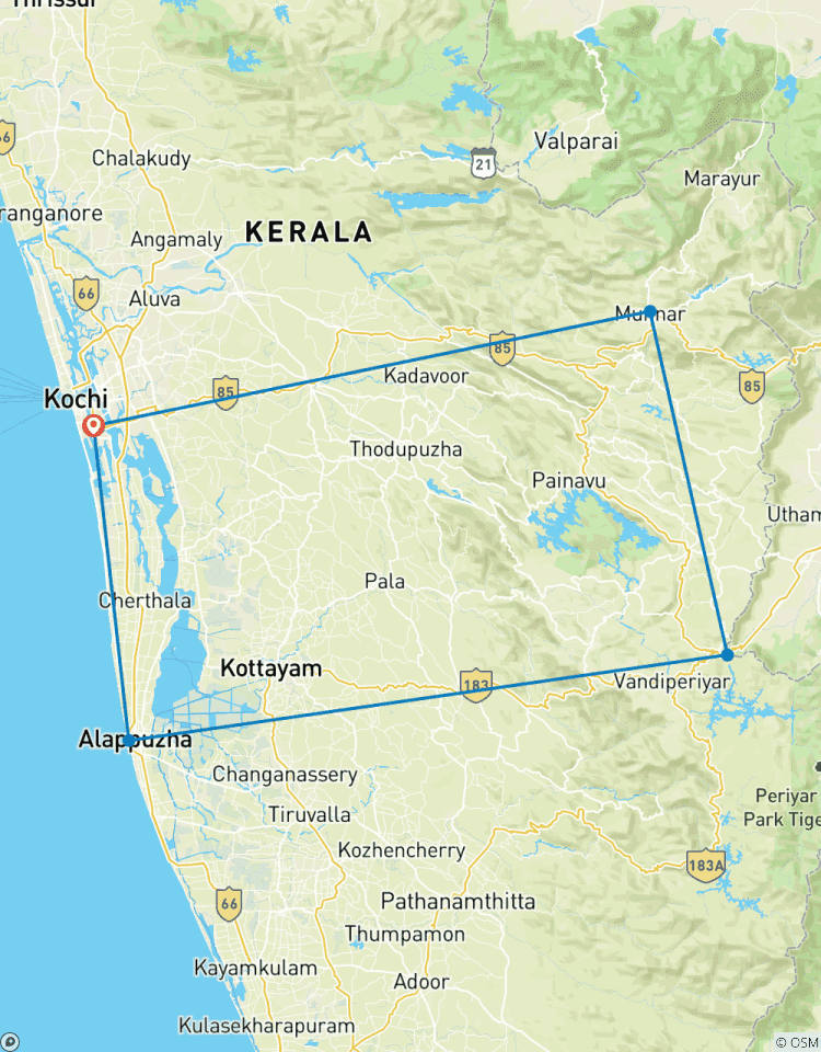 5 Daagse Privé Rondreis door Kerala met Munnar, Thekkady Alleppey vanuit Cochin-rondreis