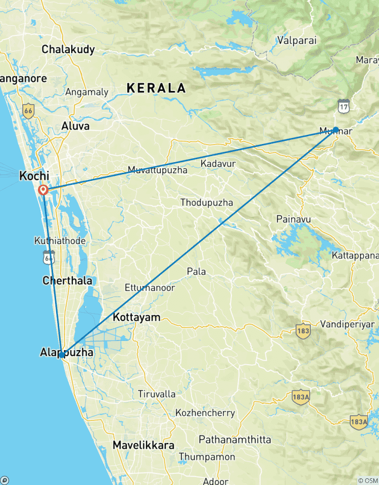 Relaxing Kerala Tour ( Cochin- Munnar- Alleppey- Cochin) Tour