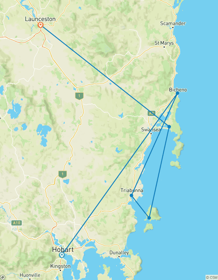La faune sauvage de Tasmanie circuit