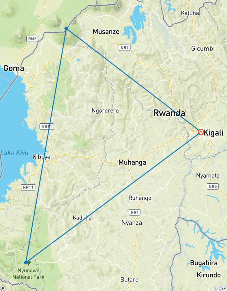 Erleben Sie Ruanda Gorillas, Goldmeerkatzen & Schimpansen Tour (Exklusiv Privat) Rundreise