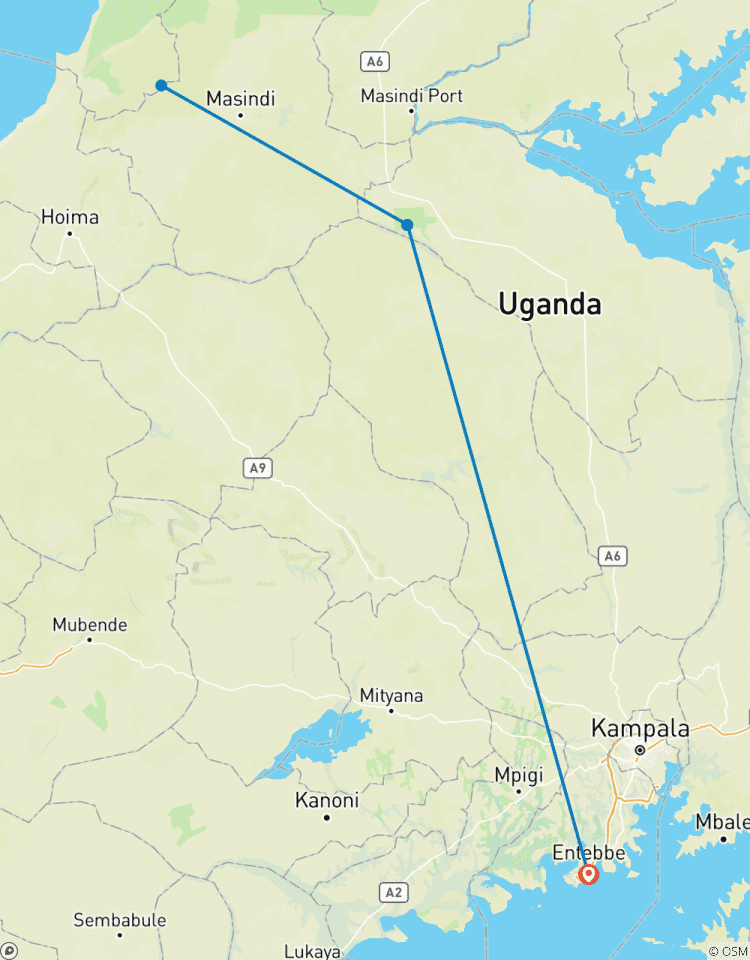3 Day Budongo Forest Chimpanzee Trek and Ziwa Rhino Tracking Tour