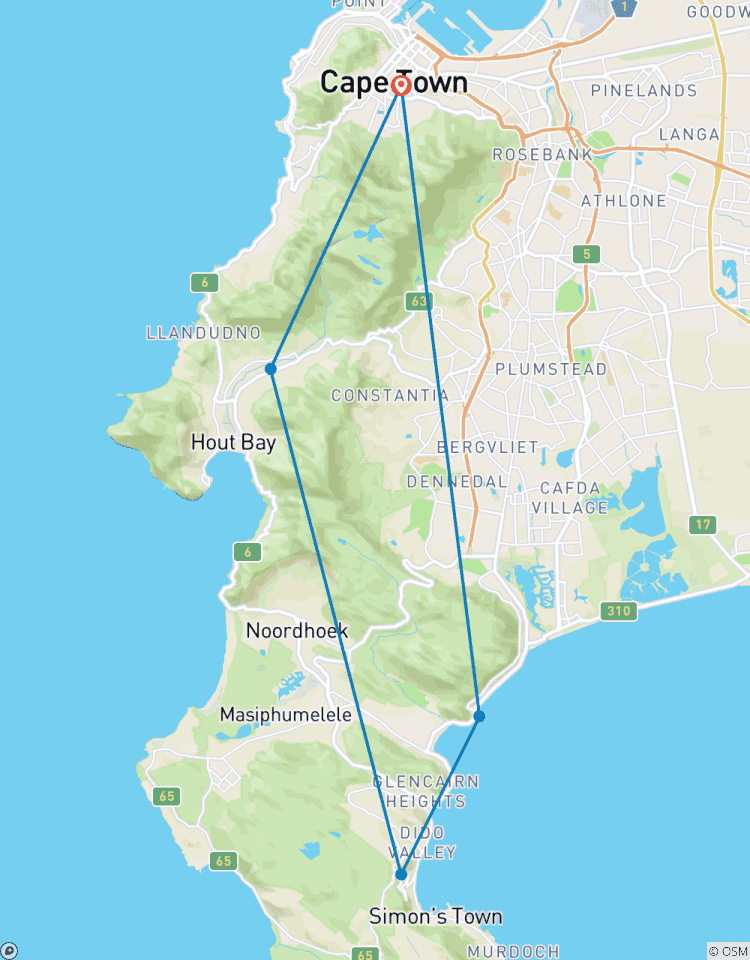 Excursion scénique d\'une journée sur la côte et la péninsule du Cap circuit