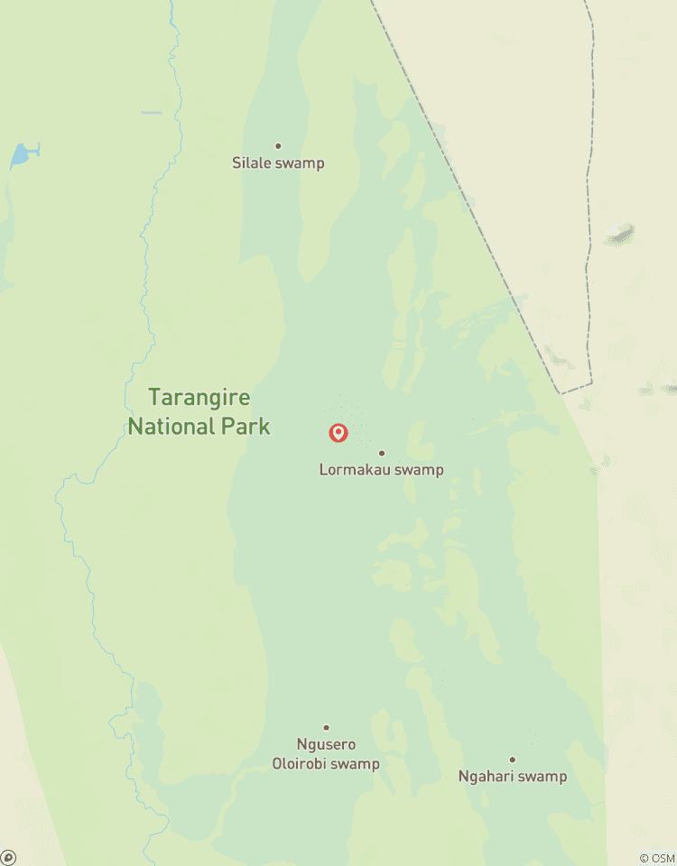 Tarangire National Park Day Trip Tour
