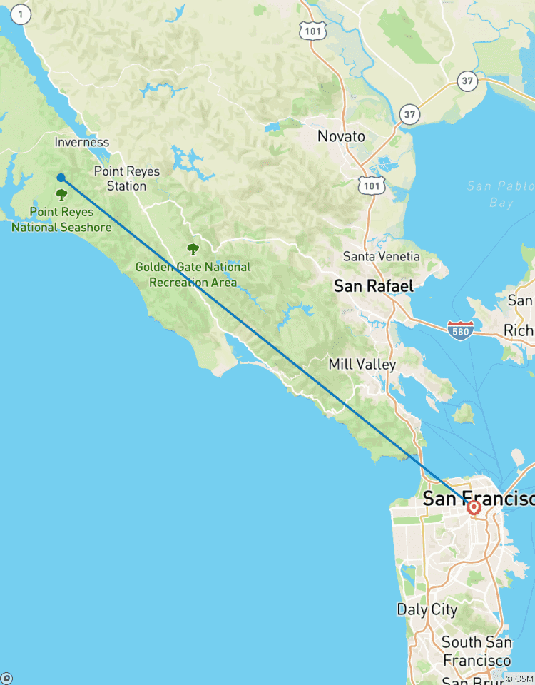 Circuito Excursión en grupo pequeño de 5 días por la costa y los viñedos de California, las olas y el vino