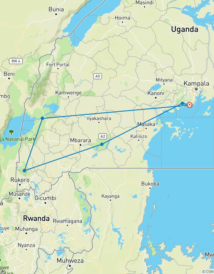 4 jours de trekking avec les chimpanzés et les gorilles circuit