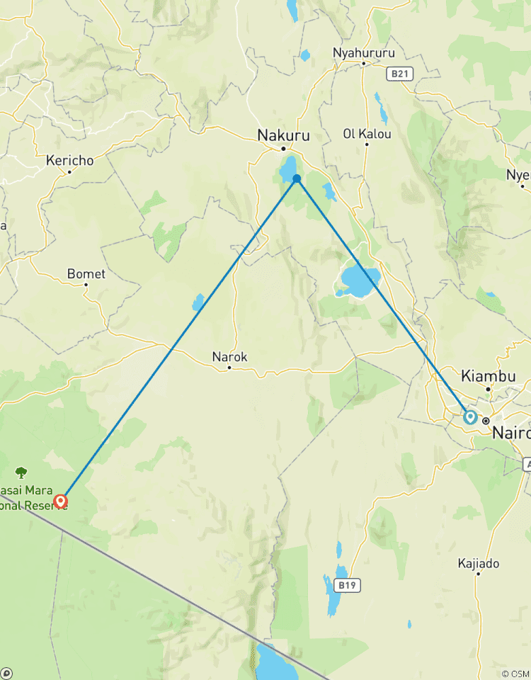 4 DAYS Group Joining Kenya Safari Tour