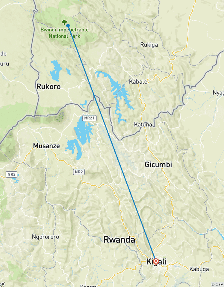 Circuito Excursión de 2 días a los Gorilas del PN Bosque Impenetrable de Bwindi Vía Kigali Ruanda