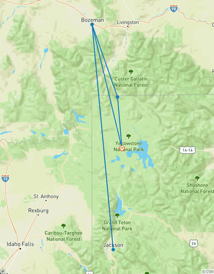 Premium Walking & Hiking in Yellowstone Tour