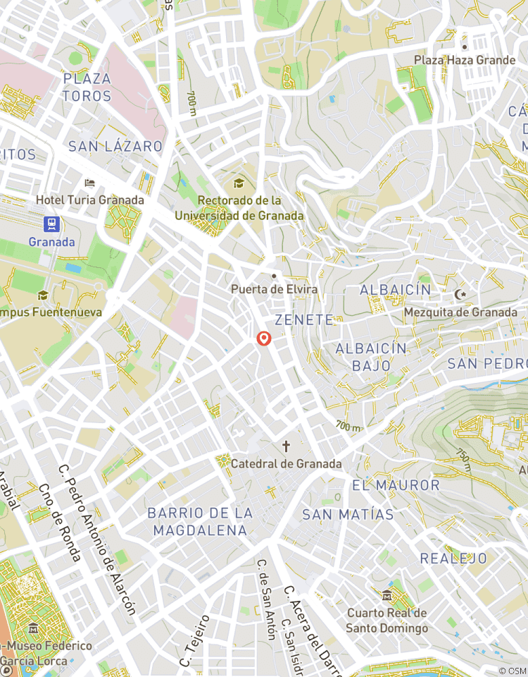 Grenade : carrefour des cultures arabe et chrétienne circuit