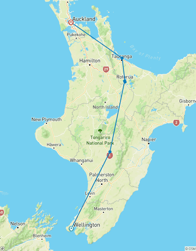 One Week in New Zealand: North Island Tour