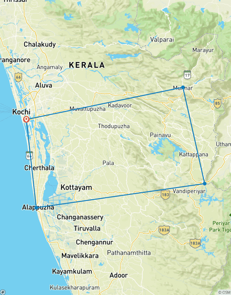 Cochin: 5-daagse privétour door Kerala met Munnar, Thekkady en Alleppey-rondreis