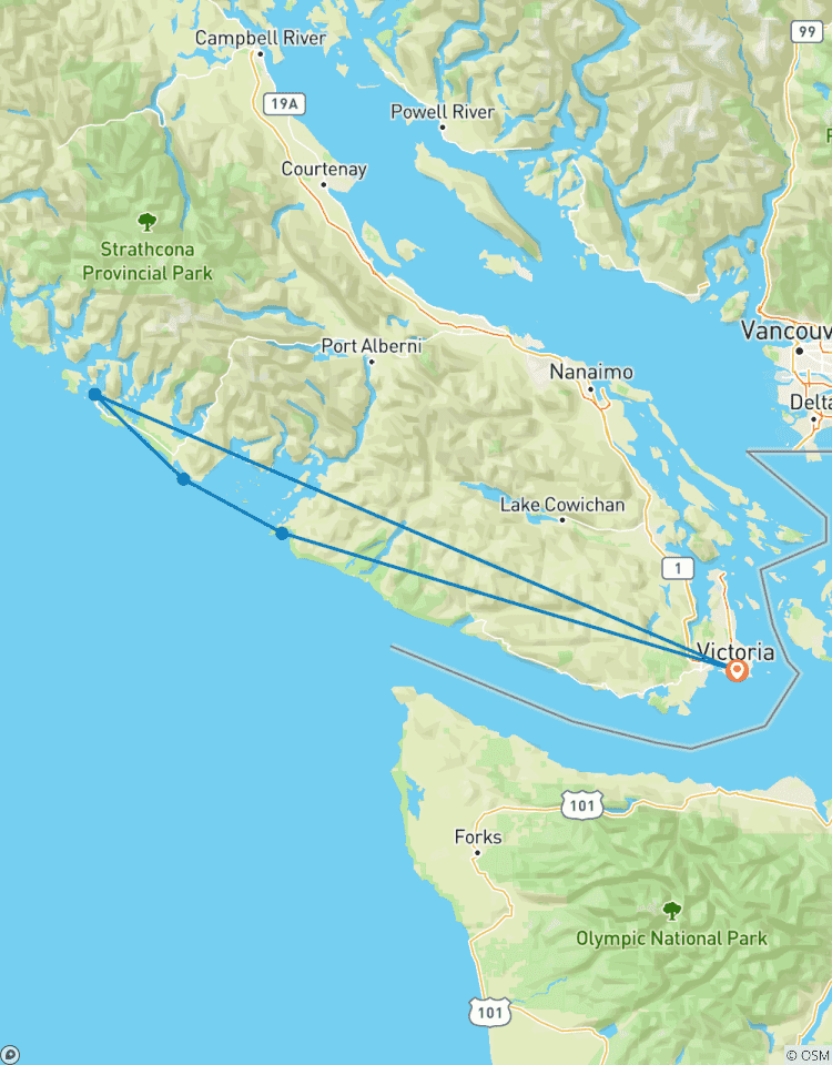 Surf And Cedars: 5 Day Tofino Yoga & Wellness Retreat Tour