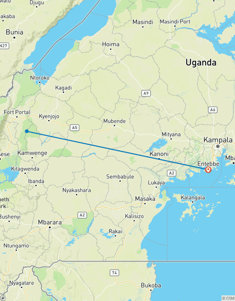 Circuito Senderismo en Chimpancé y Paseos por la Naturaleza en la Selva de Kibale
