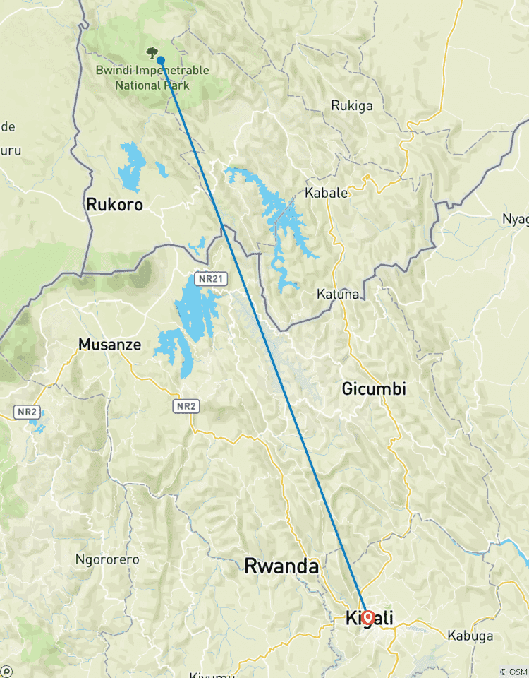 3 Tage Uganda Gorilla Trek von Kigali aus Rundreise