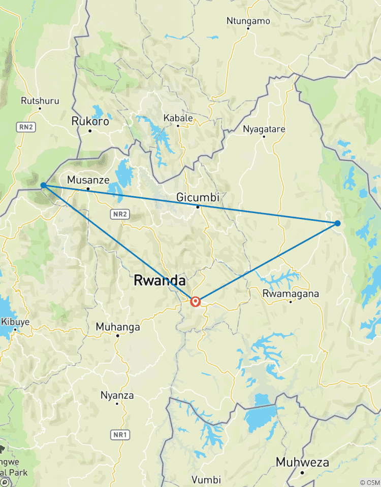 4-Day Rwanda Wildlife Safari and Gorilla Trekking Tour Tour
