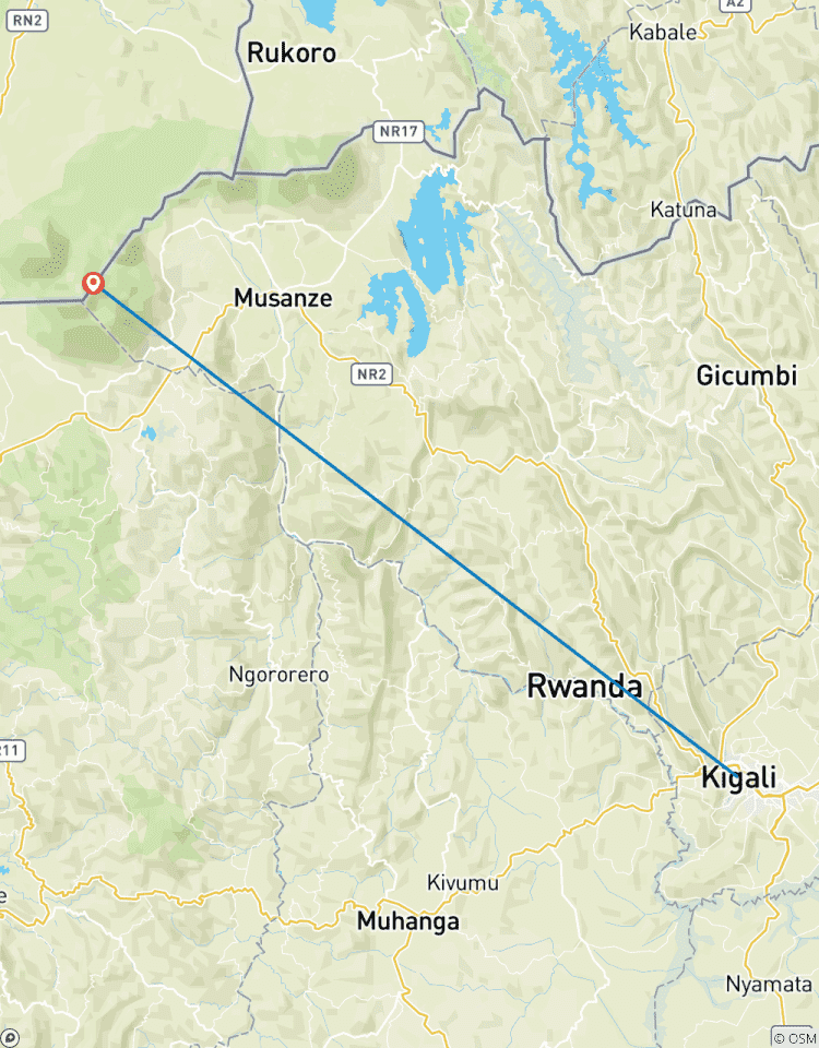 Rwanda Gorillas Adventure 5 Days/4 Nights ( Comfort) Tour