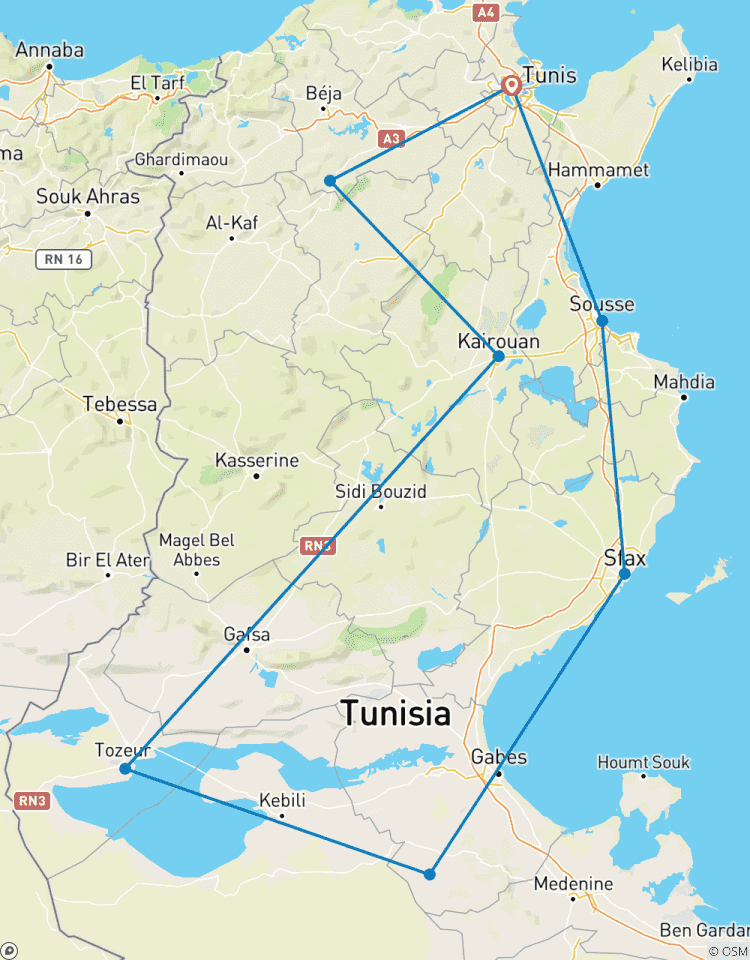 Indringende Tunesië Tour : Van Carthago tot de Sahara-rondreis