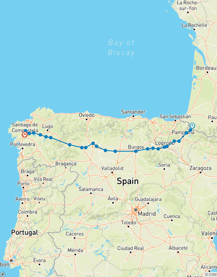 Camino (Francés) LUXE VIP ~ Guided *COACH*TREK* Tour