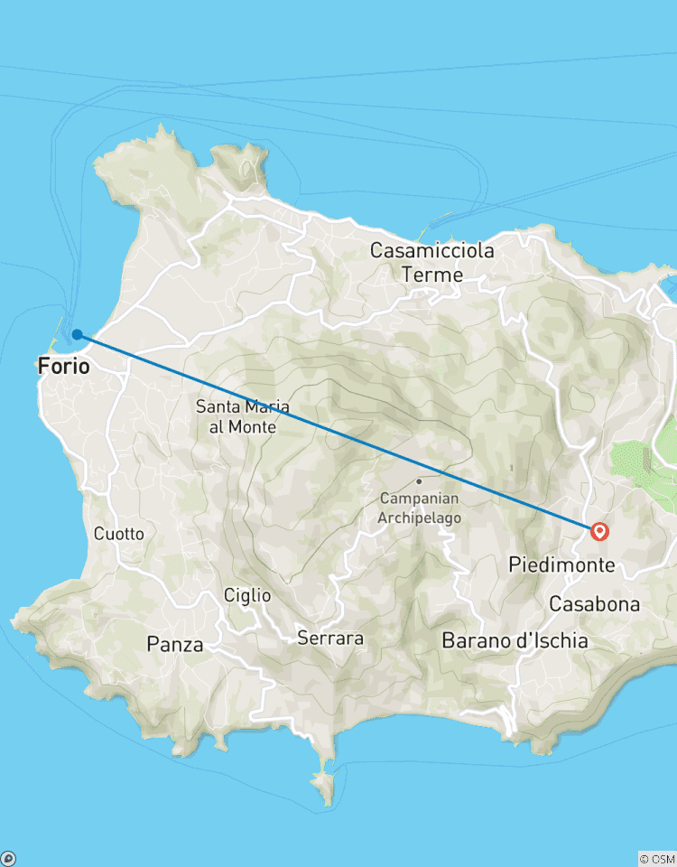 Circuito Escapada a la isla: Noche en Ischia desde Sorrento