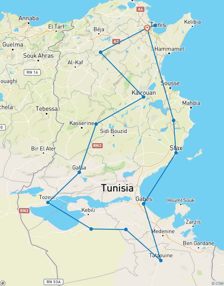 Tunisie : De Carthage aux Oasis - Une odyssée de 10 jours entre l\'histoire et le Sahara circuit