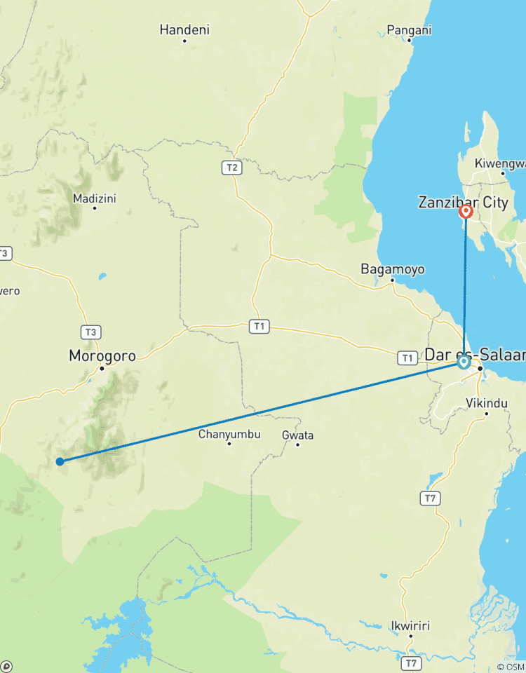 Circuito La emoción de un safari salvaje conoce el paraíso tropical: el Parque Nacional de Zanzíbar y Mikumi