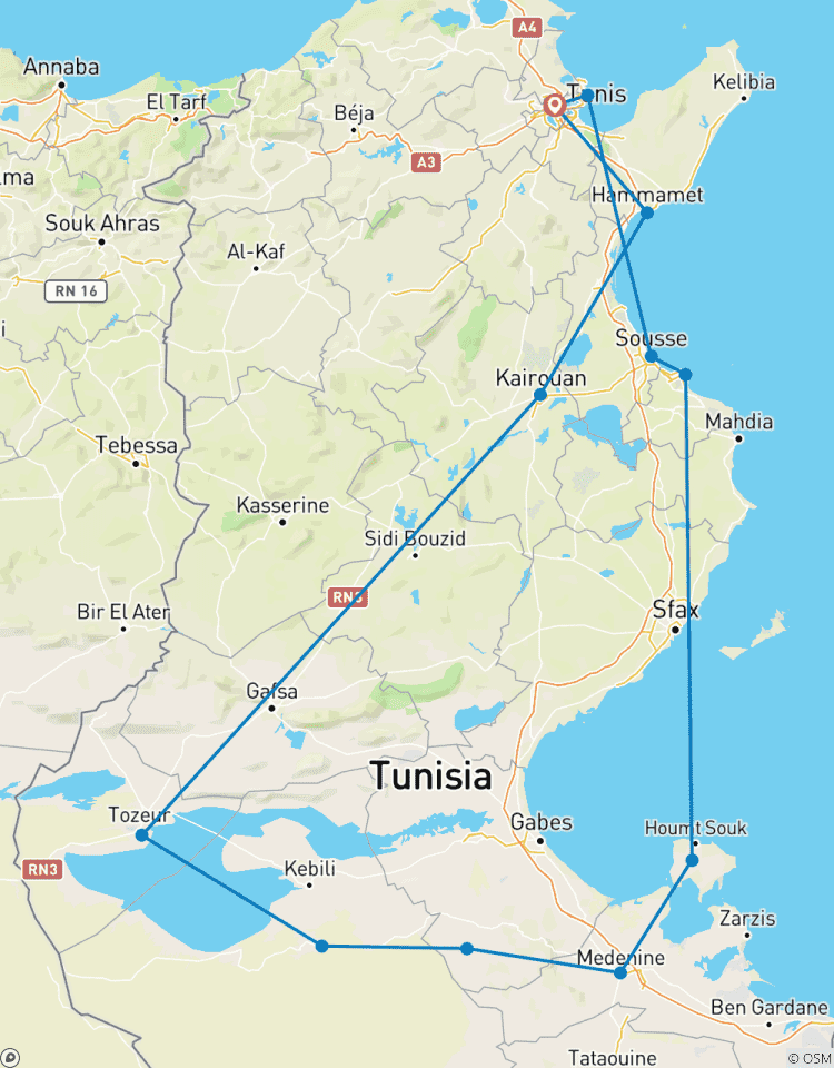 Circuito Túnez Exótico Premium 10 Noches | 11 Días