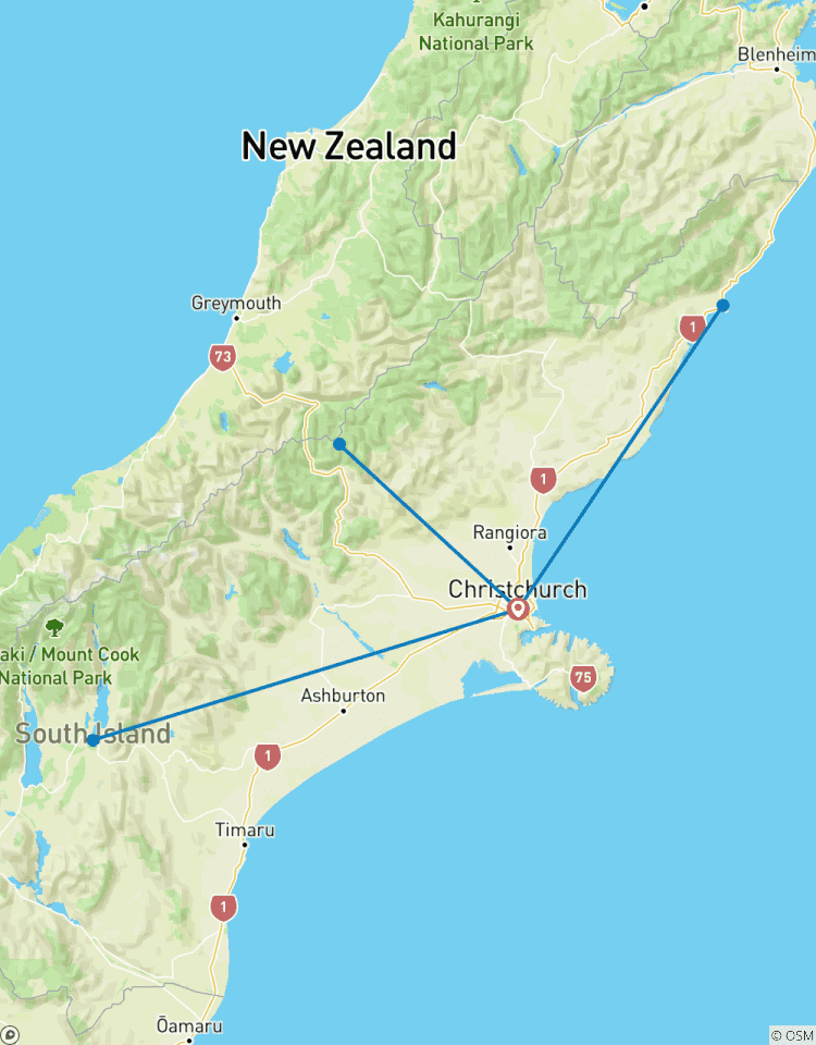 6 Dagen in Christchurch: Ontdek Kaikoura, Arthur\'s Pass & Mt Cook met begeleide dagtours-rondreis