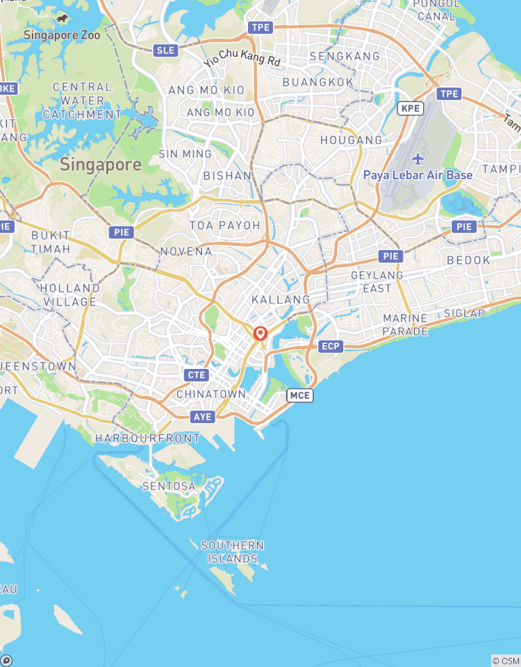 Circuito Estancia de 4 días en Singapur