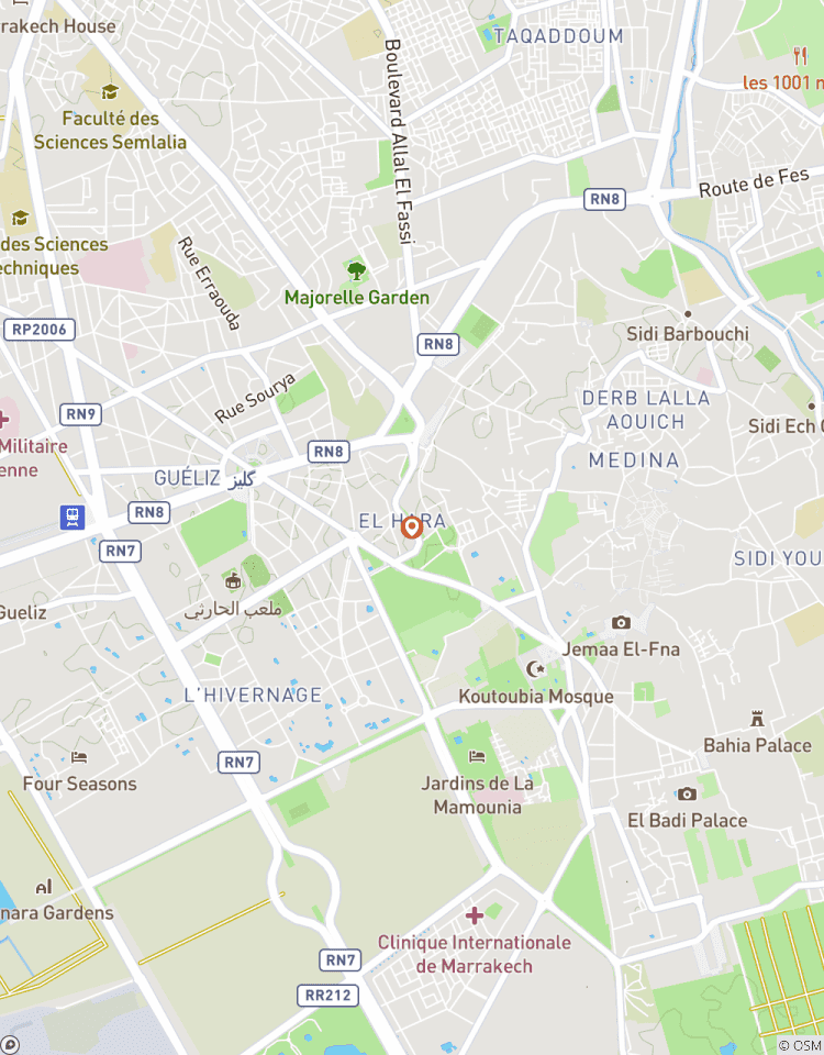 Circuito En Marrakech: visita guiada a pie por la ciudad en grupo reducido con un guía local