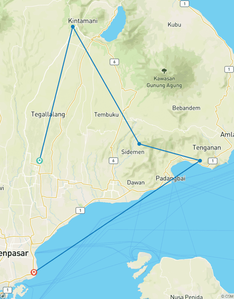 Circuito Excursión en bicicleta por Bali: Terrazas de arroz, templos y costa