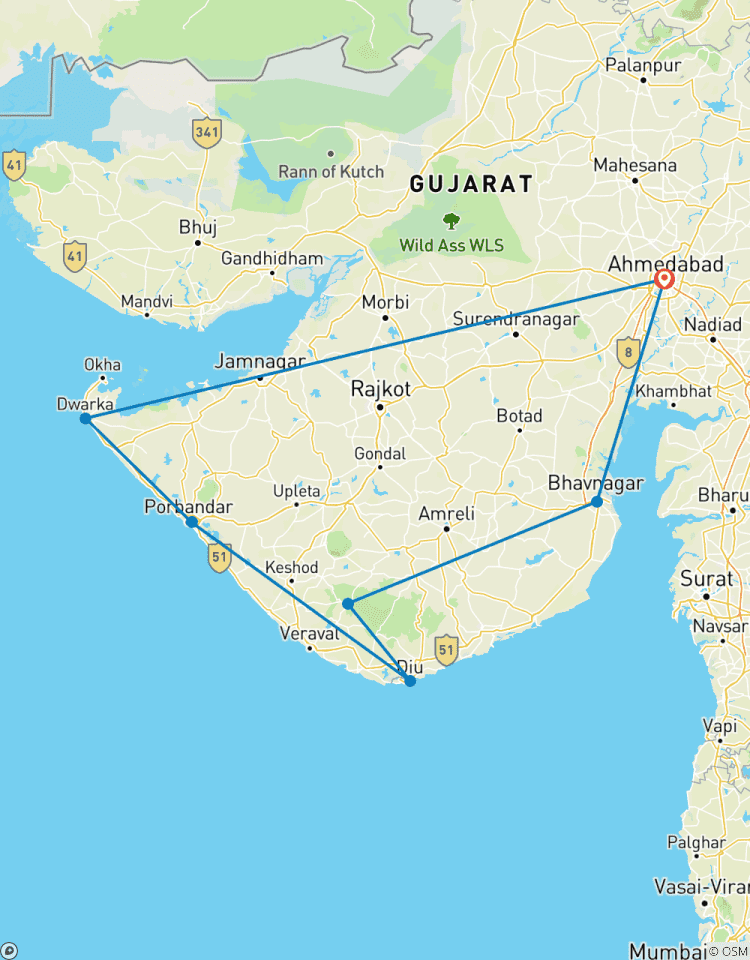 Circuit des points forts du Gujarat : Temples, faune et merveilles de la côte circuit