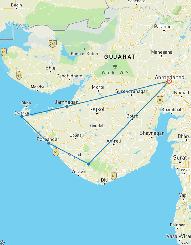 Explorez le Gujarat : sites sacrés, faune et patrimoine circuit
