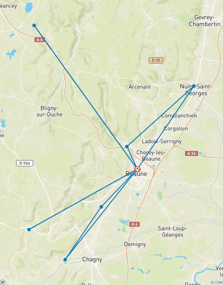 Burgundy : Beaune and Beyond Tour