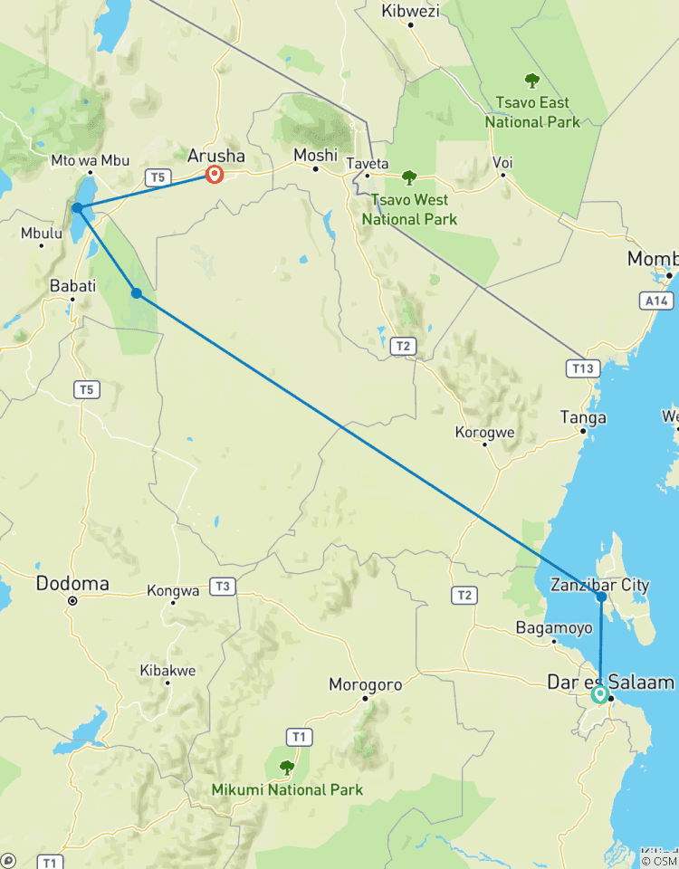 Tanzanie et île de Zanzibar : Safari africain, Construction d\'écoles et éducation, Nager avec les dauphins circuit