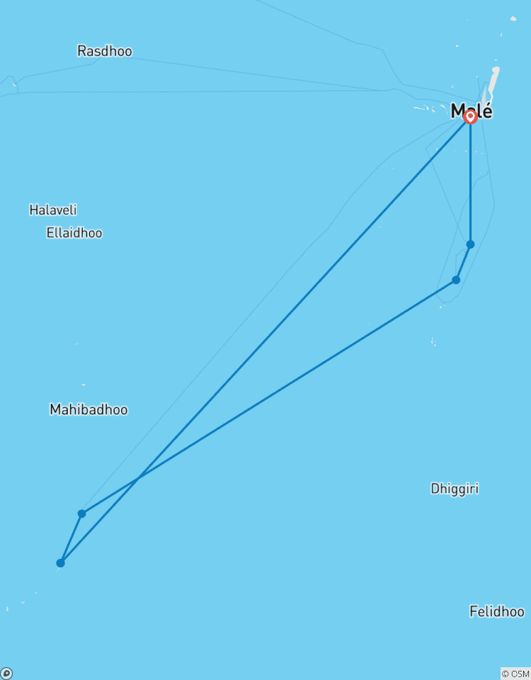 7N Maldives Whale Shark Conservation Cruise Tour