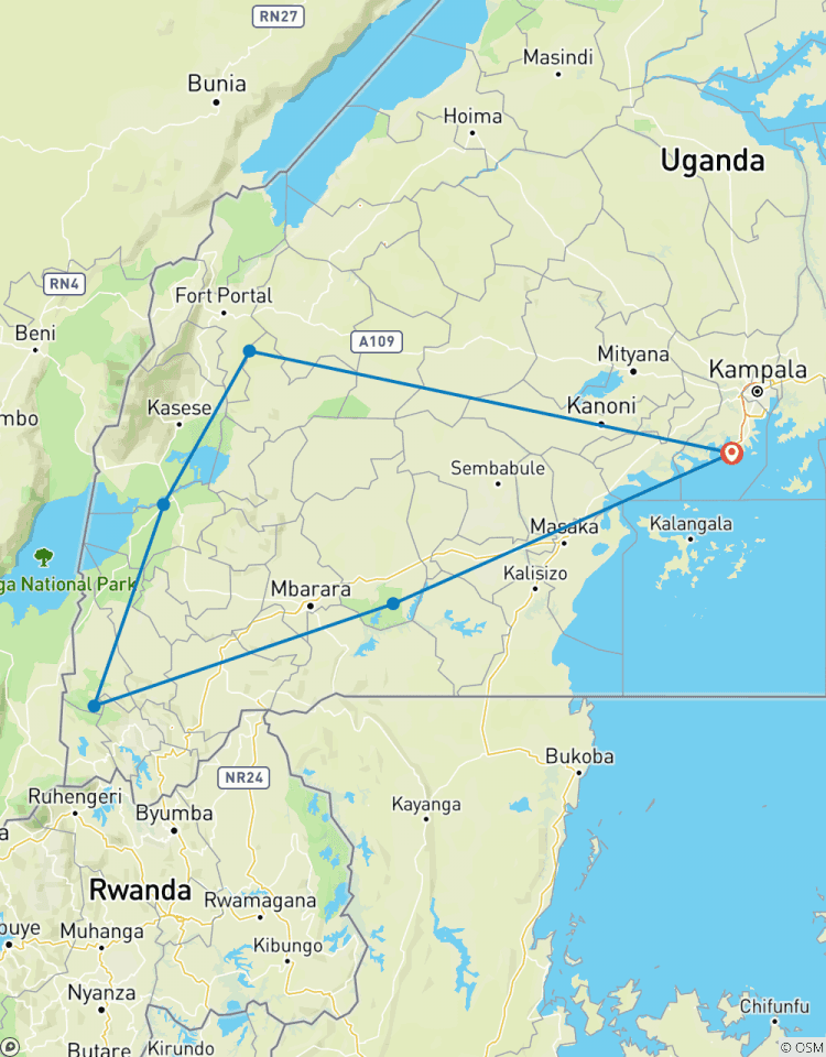 Les chimpanzés et les gorilles d\'Ouganda circuit