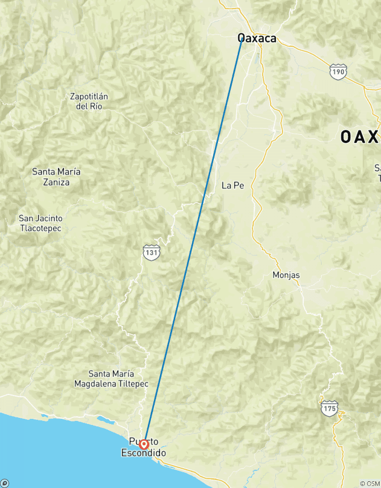 Oaxaca to Puerto Escondido: Day of the Dead Tour