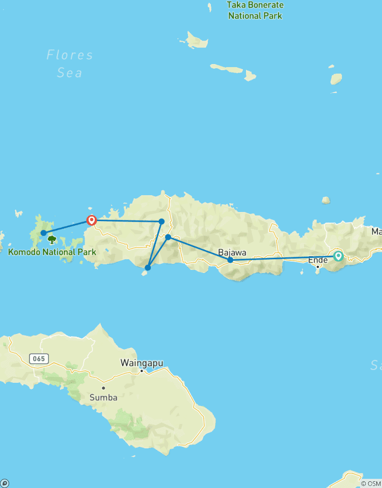 Komodo & Flores Adventure Tour