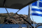 Med Sun Yachts (PC)