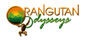 Orangutan Odysseys
