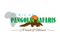 African Pangolin Safaris
