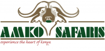 Amko safaris