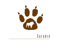 Authentic Safari Travels