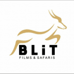BLiT Films & Safaris