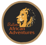 Balletto African Adventures